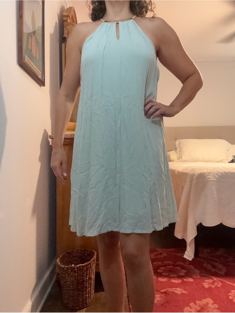 Luxology Sage Swing Dress with Silver Hardware